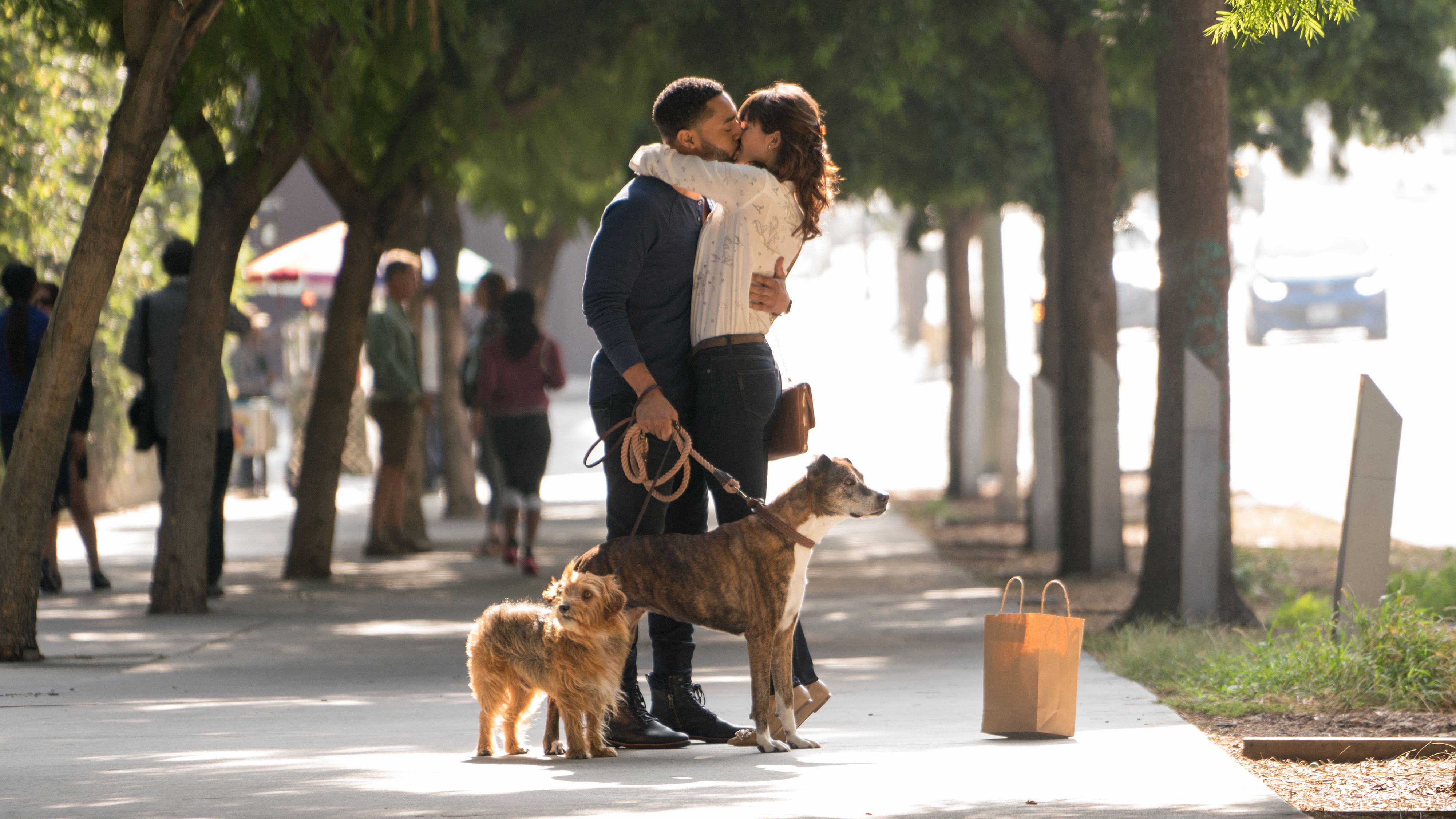 Dog Days, le film à l'odeur de chien mouillé Pieuvre.ca