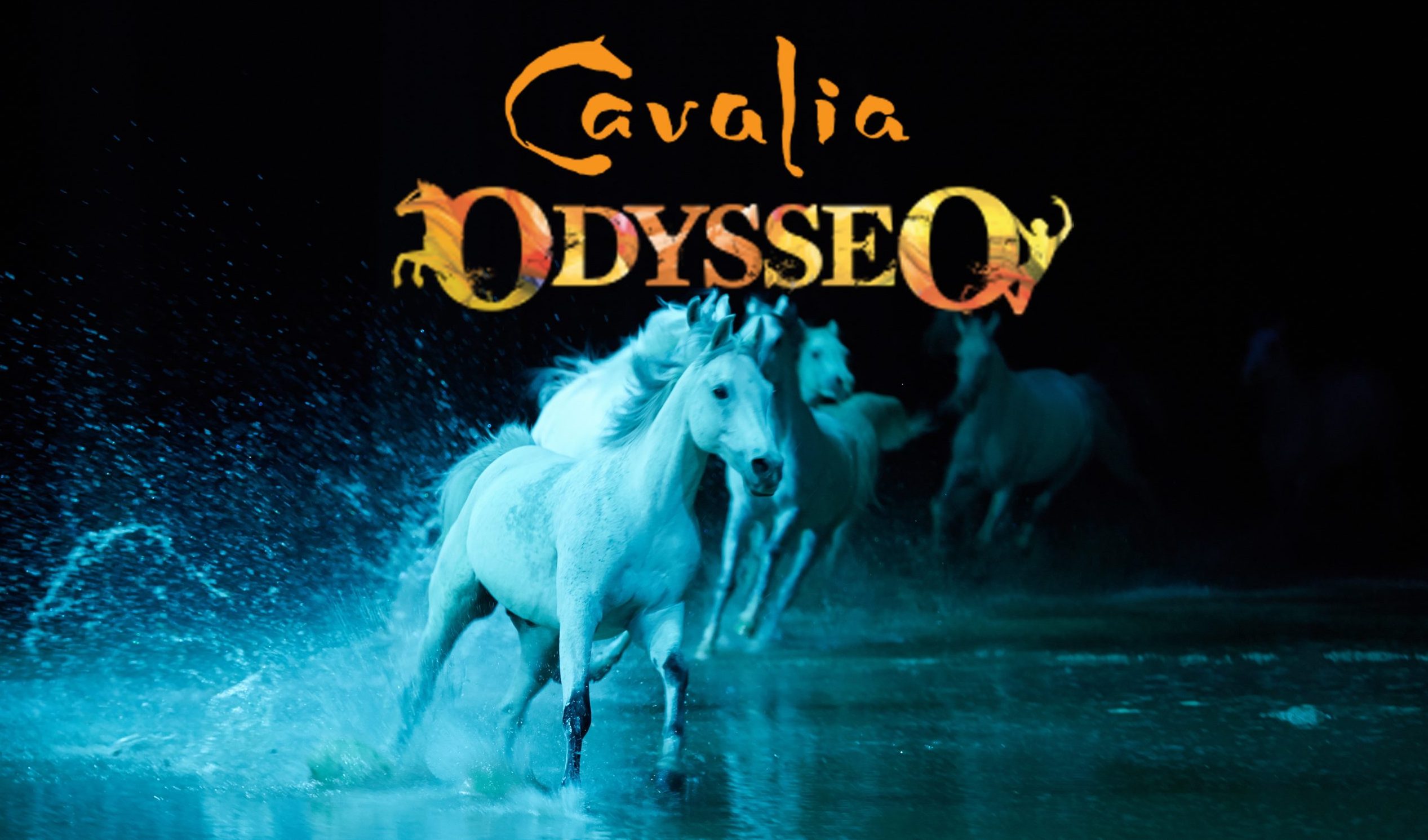 Une aventure montréalaise pour Cavalia Pieuvre.ca