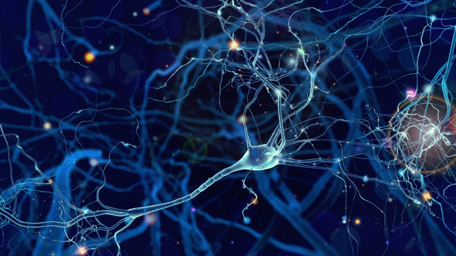 Una nuova “mente elettronica” che simula l’apprendimento umano