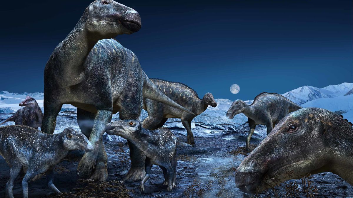 Dinossauros árticos – Pieuvre.ca