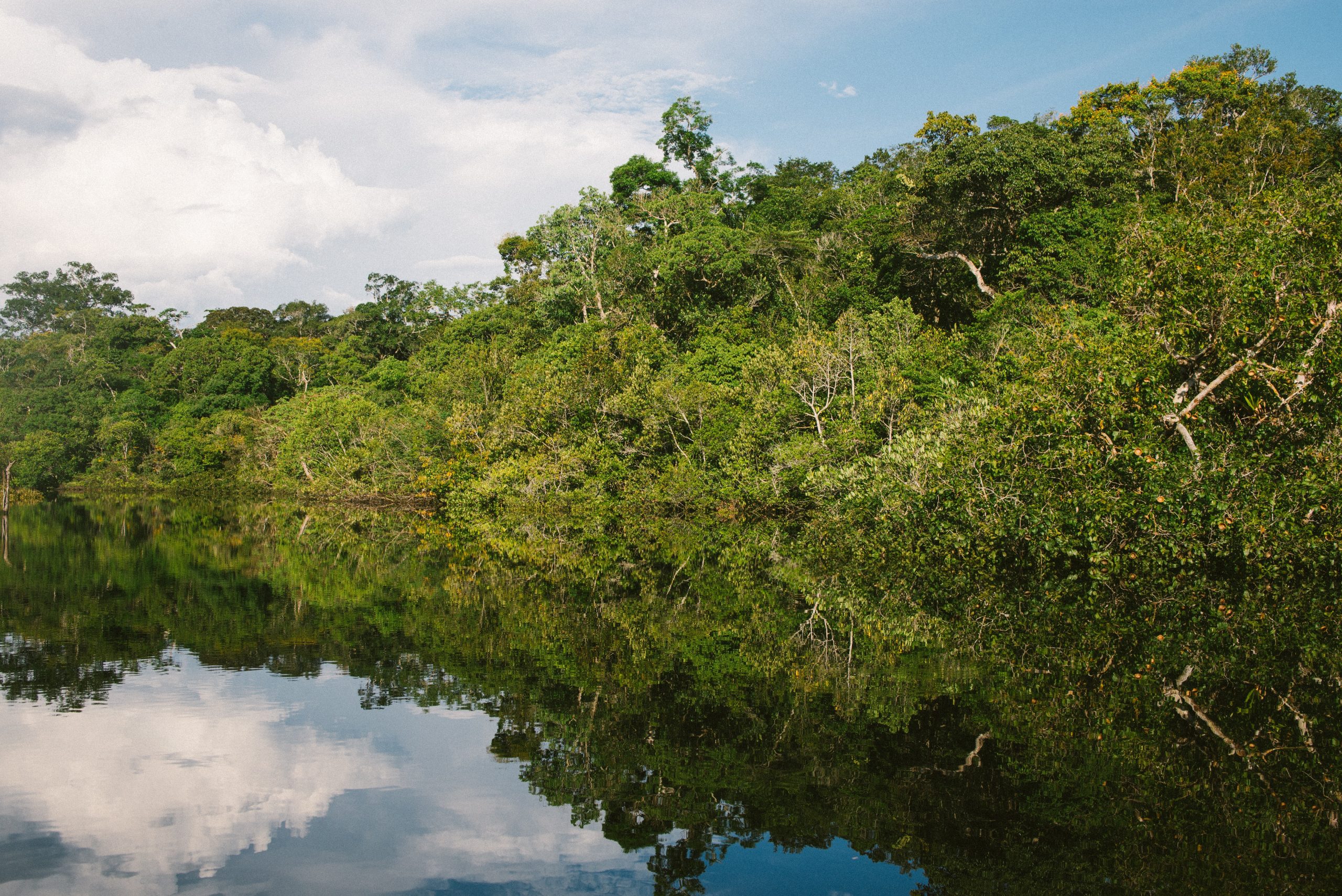 No Brasil, empresas ditam políticas climáticas