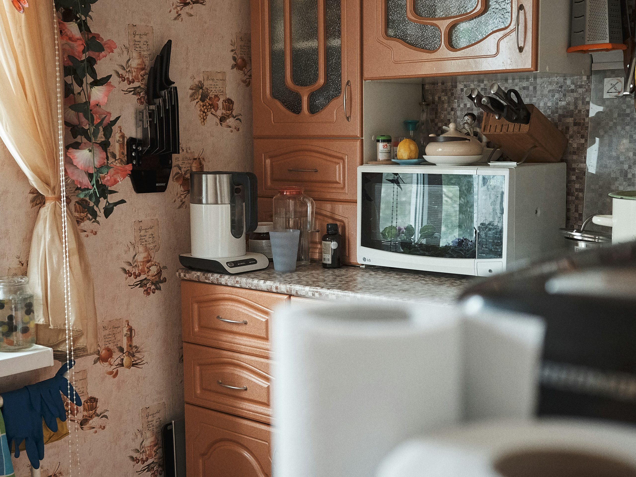 Microbes invade the following harsh environment: microwaves.