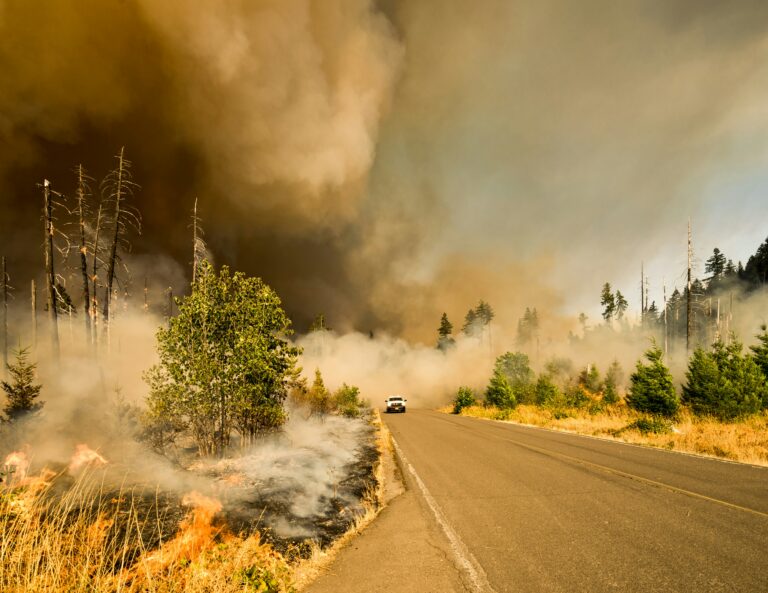 Crise climatique: les assureurs au bord de la catastrophe